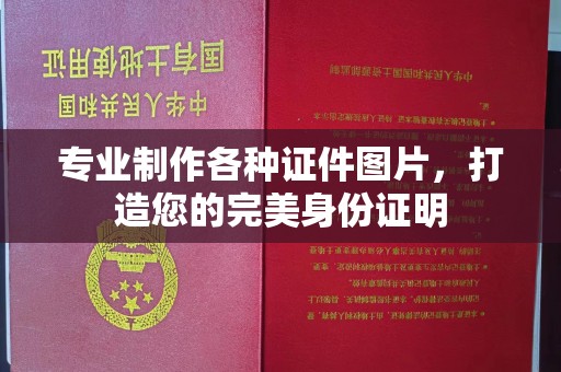 东辽专业制作各种证件图片，打造您的完美身份证明